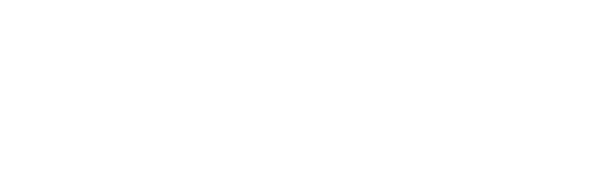 Berlin forstet auf